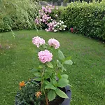 Wintergarten In Seenaehe Apartment *