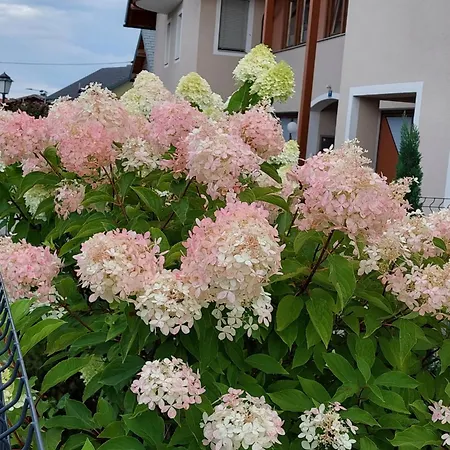 Wintergarten In Seenähe Apartment Perwang am Grabensee