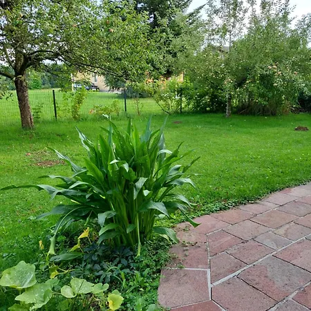 Wintergarten In Seenähe Apartment *