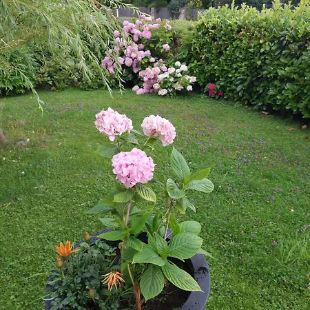 Wintergarten In Seenähe Apartment *