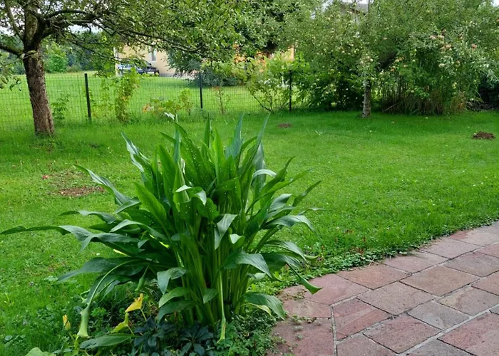 Wintergarten In Seenaehe Apartment *