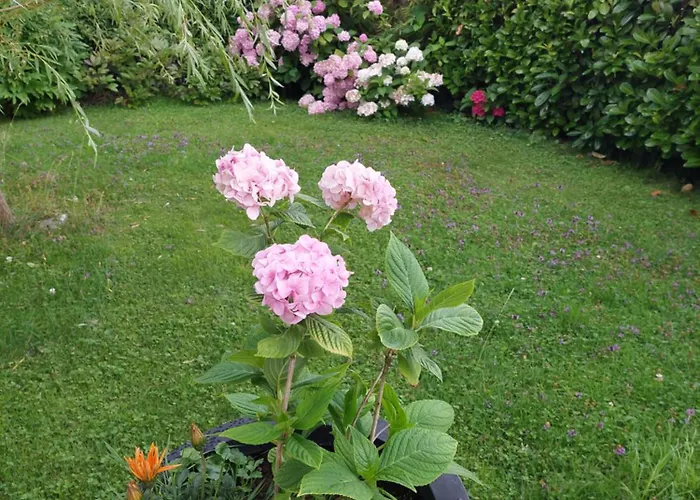 Wintergarten In Seenaehe Apartment *