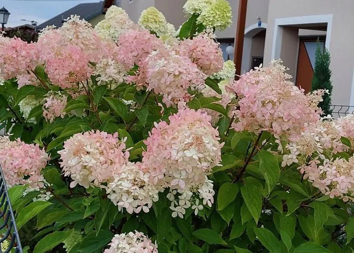 Wintergarten In Seenaehe Apartman Perwang am Grabensee